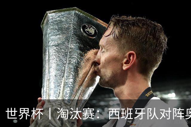 世界杯丨淘汰赛：西班牙队对阵奥地利队