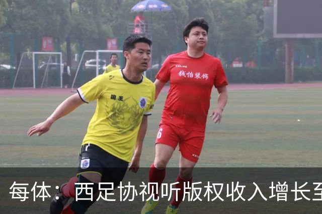 每体：西足协视听版权收入增长至1.173亿欧元 赞助也达8070万欧元